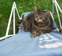 Thumbnail image for Bosco-outdoors-June-2010-Leuk's-Landing